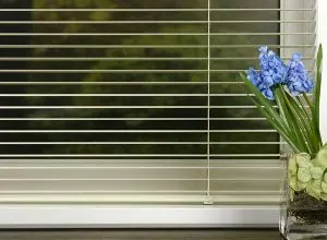 Store horizontal blanc à lattes fines, fleurs bleues sur le rebord
