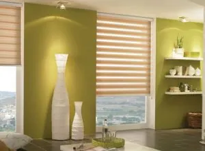 Store zébré beige dans un salon aux murs vert olive et étagères
