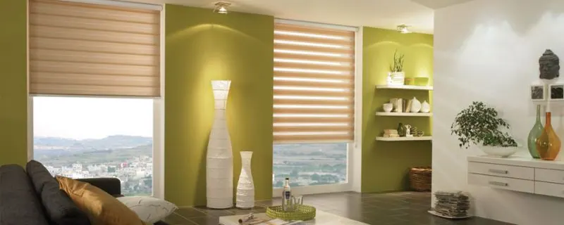 Store zébré beige et murs vert olive, salon avec étagères murales